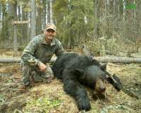 bears2008-007