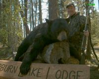 bears2008-028